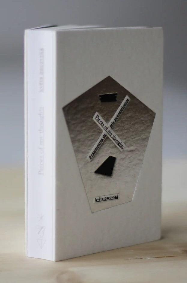 Pieces of my thought / Fragmentos de mis pensamientos / Bilderbuch Spanisch und Englisch