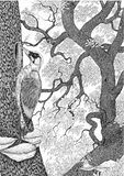 Entre mes branches / Zwischen meinen Zweigen / Bilderbuch Französisch / Nicolas Michel