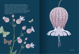 De fleurs en fleurs / Von Blumen zu Blumen / Besonderes Bilderbuch Französisch / Anne Crausaz