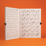 Libro de maravillas / Bilderbuch Spanisch / Pere Ginard