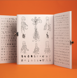 Libro de maravillas / Bilderbuch Spanisch / Pere Ginard