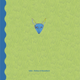 Eye Spy: Indigenous Art / Kinderbuch Englisch / Likla Lall