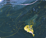 Meera Mukherjee: Breaking Moulds / Kinderbuch Englisch /  Vaishali Shroff / Shivam Choudhary