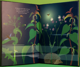 Una noche en el jardín / Bilderbuch Spanisch / Anne Crausaz