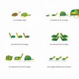 Tortuga / Kinderbuch Spanisch / Ángela Cuartas