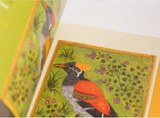 Magical world of the wild  / Kinderbuch Englisch / Gopa Trivedi, Ritu Khoda, Meera Kurien