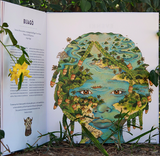 Origen / Kinderbuch Spanisch / Nat Cardozo