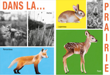 Mes Saisons / Kinderbuch Französisch / Bernadette Gervais