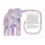 The Book of Whys / Bilderbuch Englisch / Gianni Rodari / Illustration von JooHee Yoon