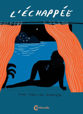 L'échappée / Kinderbuch Französisch / Silent Book / Mari Kanstad Johnsen