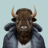 Retratos animales / Kinderbuch Spanisch / Yago Partal