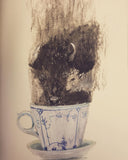 My Bison / Bilderbuch Englisch / Caya Wisniewski