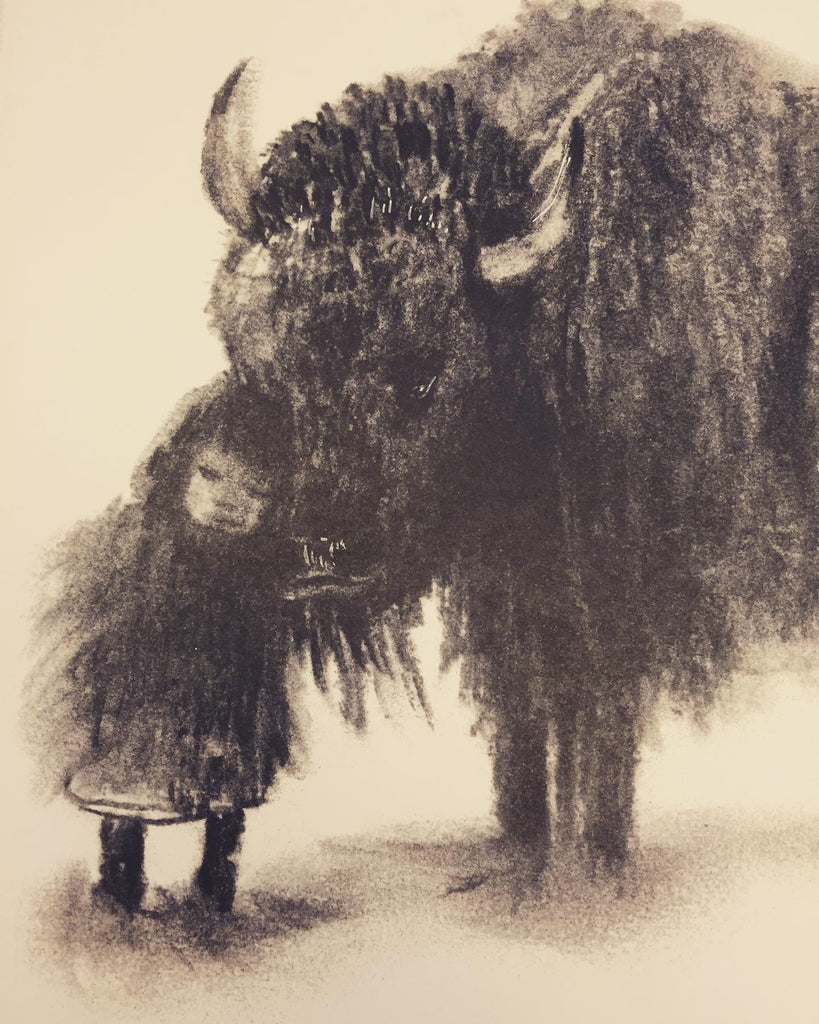 My Bison / Bilderbuch Englisch / Caya Wisniewski