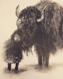 My Bison / Bilderbuch Englisch / Caya Wisniewski