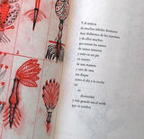 Las indias. Versión del Diario de a bordo de Cristóbal Colón / Kinderbuch Spanisch / Juan Lima / Christian Montenegro