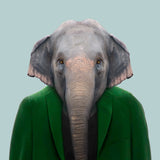 Retratos animales / Kinderbuch Spanisch / Yago Partal