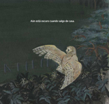 "9 Kilómetros" Claudio Aguilera / Gabriela Lyon / Kinderbuch Spanisch