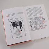 Wie der Wahnsinn mir die Welt erklärte / Kinderbuch Deutsch / Dita Zipfel