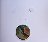 The Forest / Bilderbuch Englisch / Riccardo Bozzi, Violeta Lópiz, Valerio Vidali