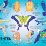 Caleidoscopio animal / Bilderbuch Spanisch / Cath Ard / Greer Stothers