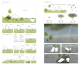 "La caricia del viento" Sandrine Kao / Kinderbuch Spanisch