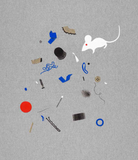 "La verdadera historia de la rata que nunca fue presumida" Ana Cristina Herrreros, Violeta Lópiz / Kinderbuch Spanisch