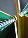 Mvsevm, Bilderbuch ohne Text, Javier Sáez Castán, Manuel Marsol, Orfeu Negro