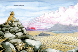 En peligro de extinción / Kinderbuch Spanisch / Nono Granero