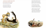 En peligro de extinción / Kinderbuch Spanisch / Nono Granero