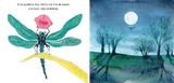 Sueños en el jardín / KInderbuch Spanisch / Paulina Casas / Raquel Echenique