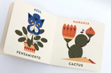 El jardín nos enseña los colores / Kinderbuch Spanisch / Marcos Farina