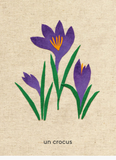 L’imagier des fleurs du jardin / Kinderbuch Französisch / Marie-Noëlle Horvath