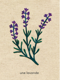 L’imagier des fleurs du jardin / Kinderbuch Französisch / Marie-Noëlle Horvath