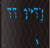 꼭꼭 숨바꼭질 / Versteck Spiel / Hide and Seek / Kinderbuch Koreanisch / Song Hyeon-joo