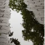 빗물 아파트 / Rainwater apartment / Kinderbuch Koreanisch / Yeonhee Kim