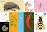 Des trucs comme ci, des trucs comme ça / Kinderbuch Französisch / Bernadette Gervais