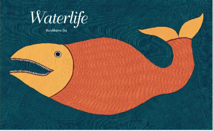 Waterlife / Bilderbuch Englisch / Rambharos Jha