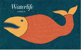 Waterlife / Bilderbuch Englisch / Rambharos Jha