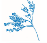 Natura / Kinderbuch Spanisch / María José Ferrada / Mariana Alcántara