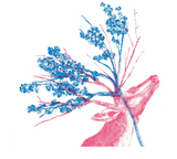 Natura / Kinderbuch Spanisch / María José Ferrada / Mariana Alcántara