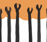 Dentro de una cebra / Kinderbuch Spanisch / Micaela Chirif / Renato Moriconi