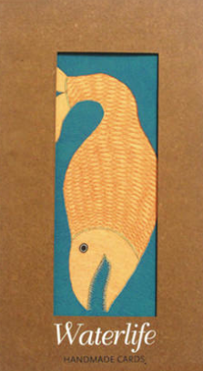 WATERLIFE – CARD BOX / Kinderbuch Englisch / folk painting from eastern India
