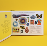 Tesoros de coleccionistas / Kinderbuch Spanisch / Lucie Brunellière