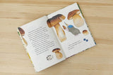 Tres luces / Kinderbuch Spanisch / María Ramos