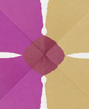 Bloom / Bilderbuch Französisch / Julie Safirstein