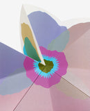 Bloom / Bilderbuch Französisch / Julie Safirstein