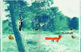Der kleine Fuchs/ EDward van de Vendel, Mariji Tolman / Kinderbuch / Gerstenberg