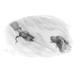 Elatsoe / Kinderbuch Englisch / Darcie Little Badger