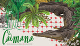 La caimana / Kinderbuch Spanisch / María Eugenia Manrique / Ramón París