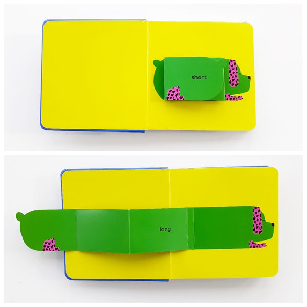Big Dog, Little Dog: Lift-the-Flap Opposites / élo / Kinderbuch Englis – mundo azul